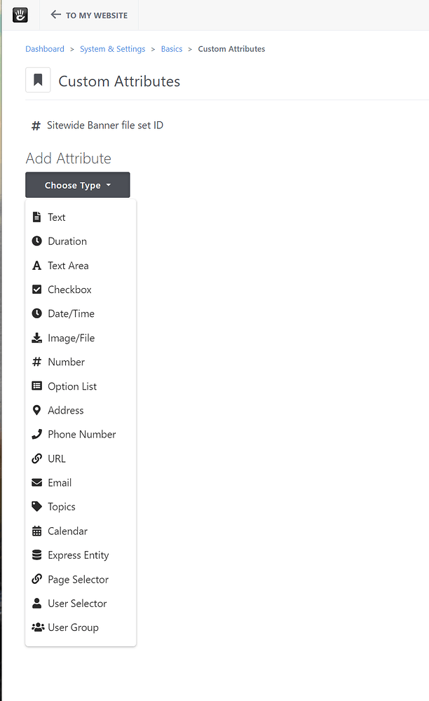 How to create a custom attribute and access it on any page ...
