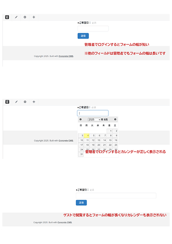 日付フィールド